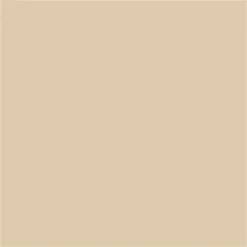 Mission Models MIOMMW-006 Acrylic Model Paint 1 Oz Bottle, Transparent Dust 1